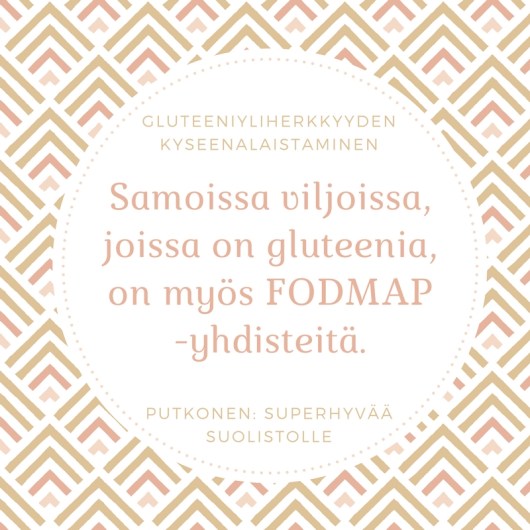 gluteeni-fodmap