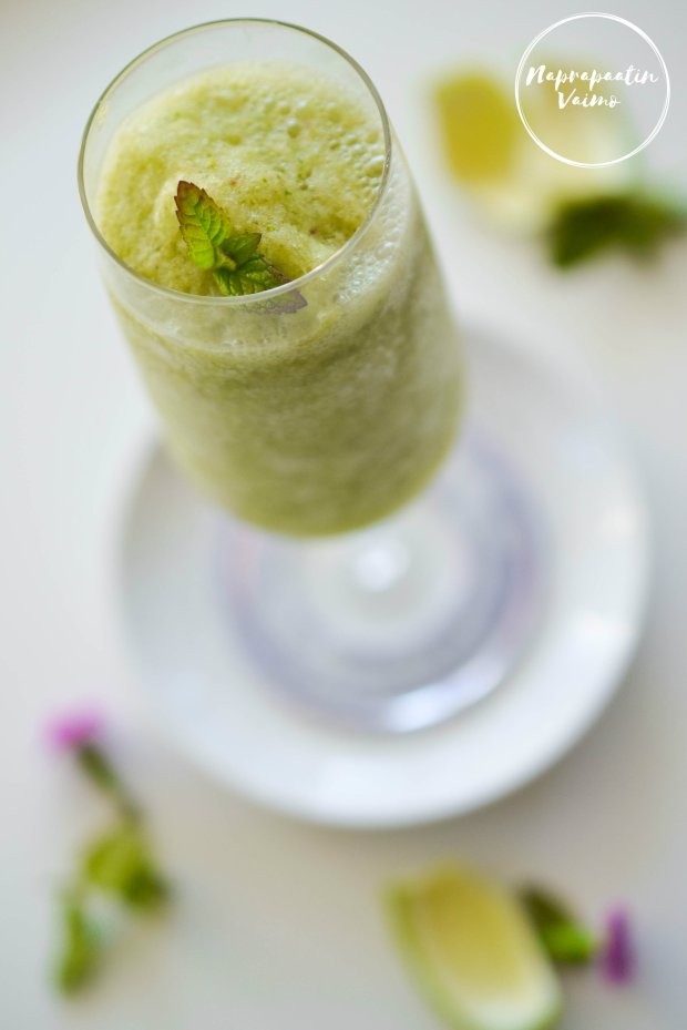 alkoholiton_mojito-0273_l