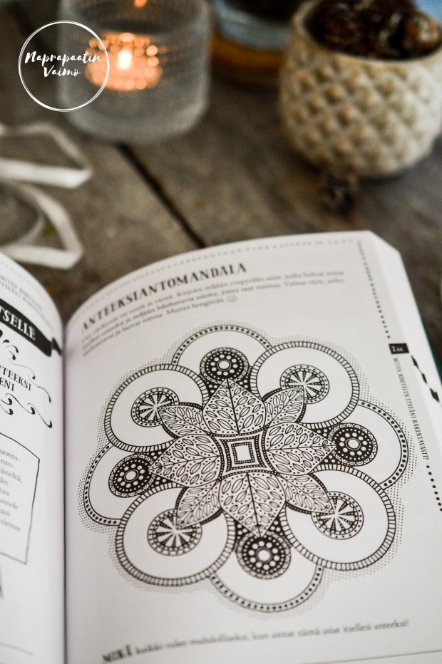 hyvan_mielen_vuosi-0936