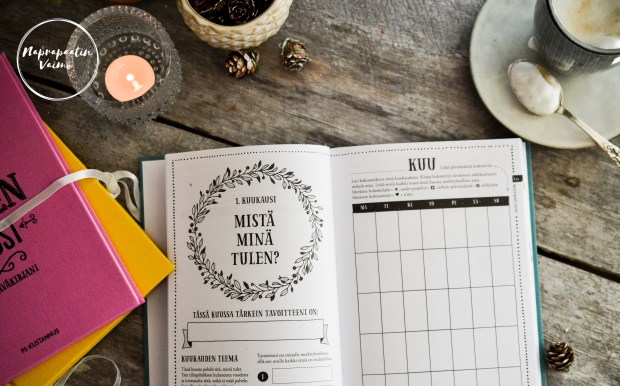 hyvan_mielen_vuosi-0945