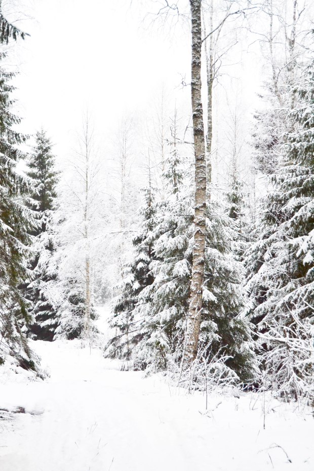 talvitie-0623