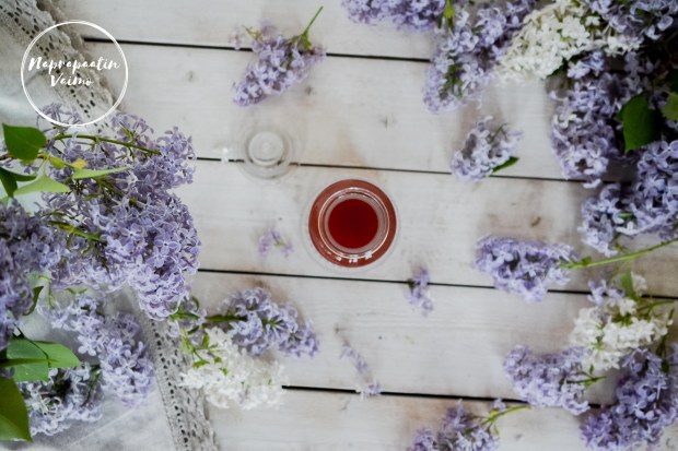 syreeni_raparperisiirappi-1041