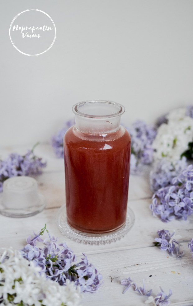 syreeni_raparperisiirappi-1045