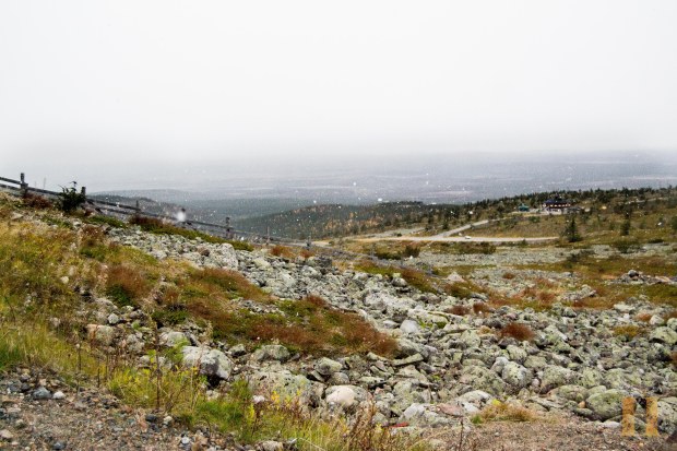 lappilevitunturi-0049