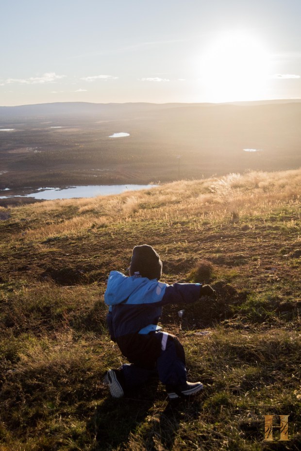 lappilevitunturi-0734